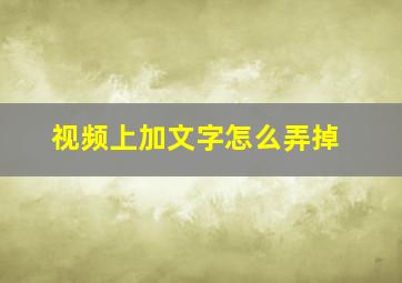 视频上加文字怎么弄掉