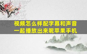 视频怎么样配字幕和声音一起播放出来呢苹果手机