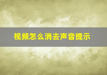 视频怎么消去声音提示