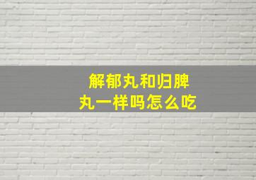 解郁丸和归脾丸一样吗怎么吃