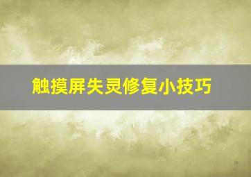 触摸屏失灵修复小技巧