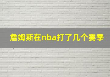 詹姆斯在nba打了几个赛季