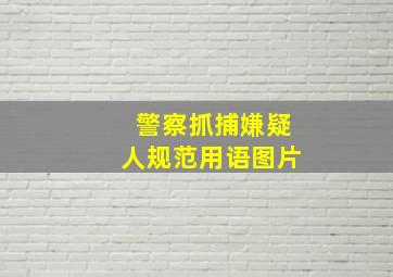 警察抓捕嫌疑人规范用语图片