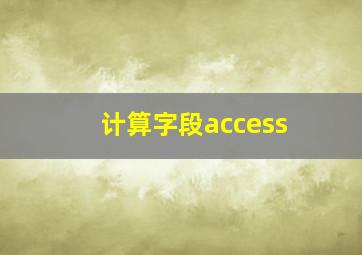 计算字段access