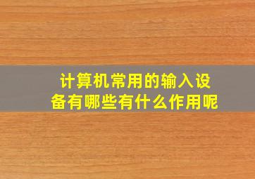 计算机常用的输入设备有哪些有什么作用呢