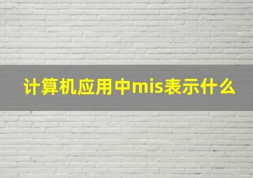 计算机应用中mis表示什么