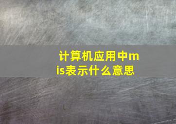 计算机应用中mis表示什么意思