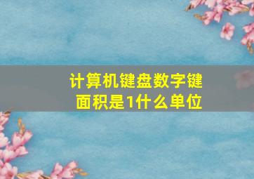 计算机键盘数字键面积是1什么单位