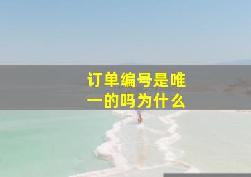 订单编号是唯一的吗为什么