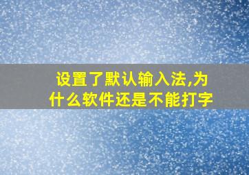 设置了默认输入法,为什么软件还是不能打字