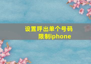 设置呼出单个号码限制iphone