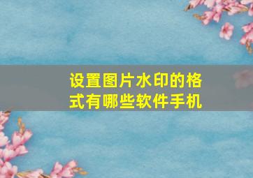 设置图片水印的格式有哪些软件手机