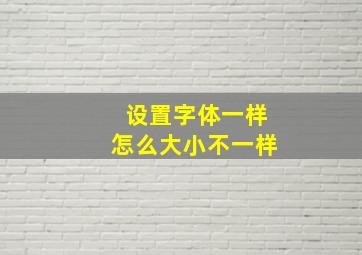 设置字体一样怎么大小不一样