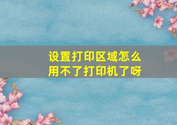 设置打印区域怎么用不了打印机了呀