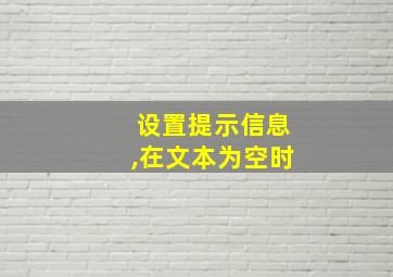 设置提示信息,在文本为空时