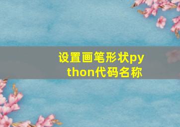 设置画笔形状python代码名称