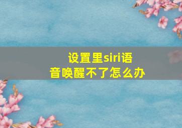 设置里siri语音唤醒不了怎么办