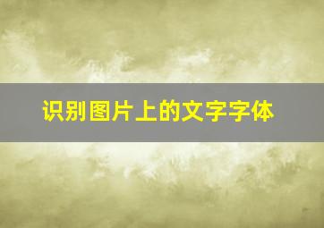 识别图片上的文字字体