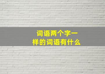 词语两个字一样的词语有什么