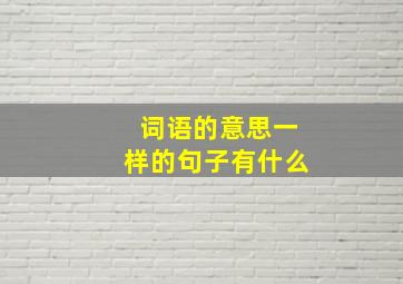 词语的意思一样的句子有什么