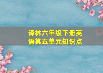 译林六年级下册英语第五单元知识点