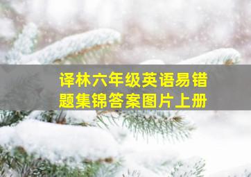 译林六年级英语易错题集锦答案图片上册