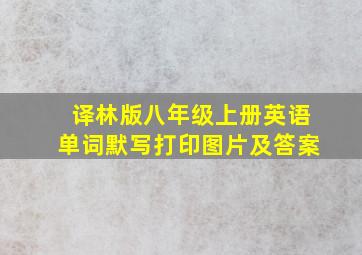 译林版八年级上册英语单词默写打印图片及答案