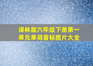 译林版六年级下册第一单元单词音标图片大全