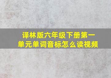 译林版六年级下册第一单元单词音标怎么读视频