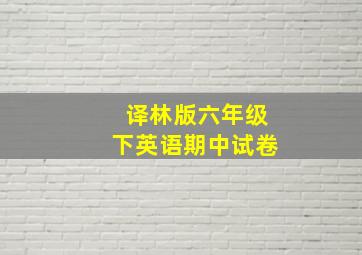 译林版六年级下英语期中试卷