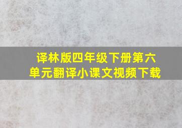 译林版四年级下册第六单元翻译小课文视频下载