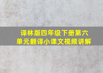 译林版四年级下册第六单元翻译小课文视频讲解