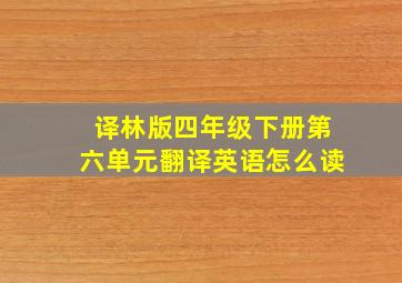 译林版四年级下册第六单元翻译英语怎么读