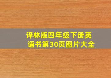 译林版四年级下册英语书第30页图片大全