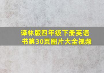 译林版四年级下册英语书第30页图片大全视频