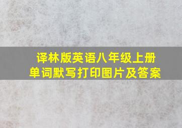 译林版英语八年级上册单词默写打印图片及答案