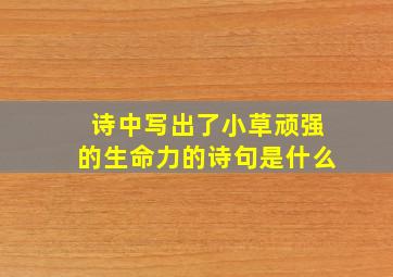 诗中写出了小草顽强的生命力的诗句是什么