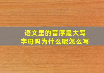 语文里的音序是大写字母吗为什么呢怎么写