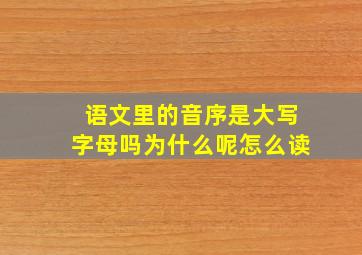 语文里的音序是大写字母吗为什么呢怎么读