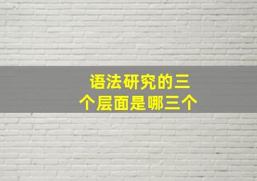 语法研究的三个层面是哪三个