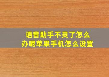 语音助手不灵了怎么办呢苹果手机怎么设置