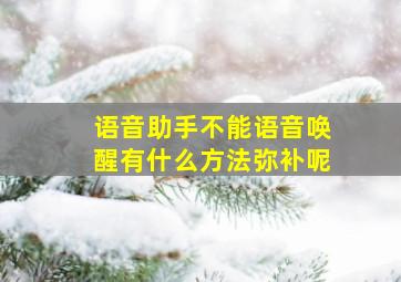 语音助手不能语音唤醒有什么方法弥补呢