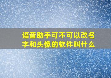 语音助手可不可以改名字和头像的软件叫什么