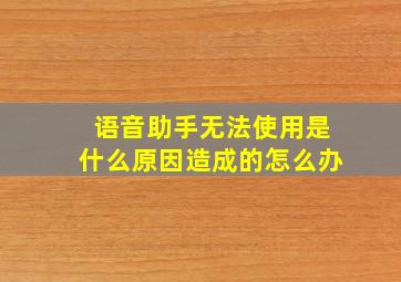 语音助手无法使用是什么原因造成的怎么办