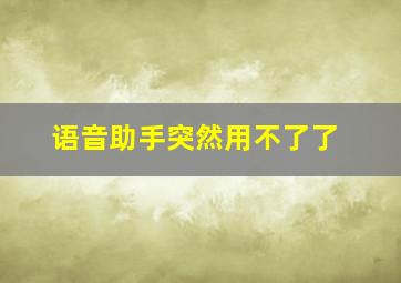 语音助手突然用不了了