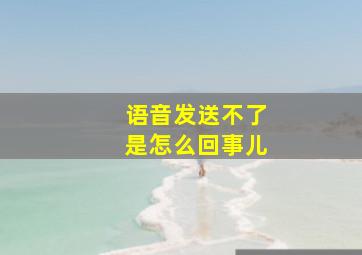 语音发送不了是怎么回事儿