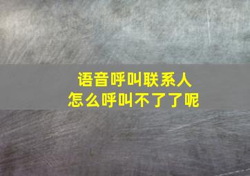 语音呼叫联系人怎么呼叫不了了呢