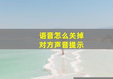 语音怎么关掉对方声音提示