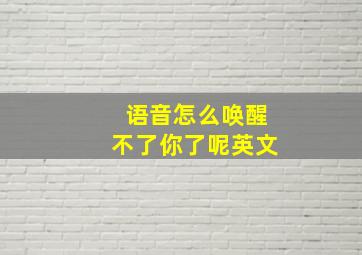 语音怎么唤醒不了你了呢英文