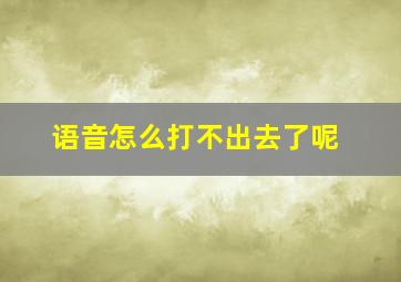 语音怎么打不出去了呢